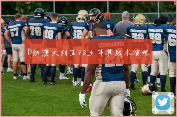 D组澳大利亚vs土耳其战术演练