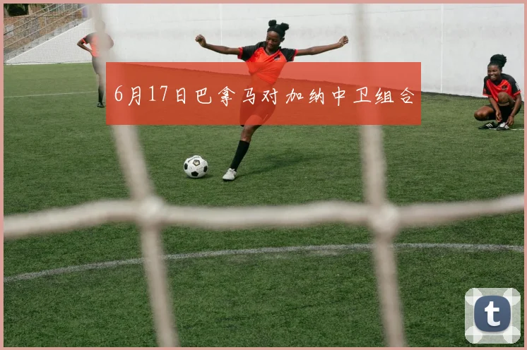 6月17日巴拿马对加纳中卫组合