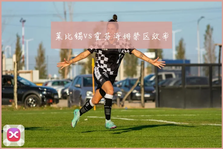 莱比锡vs霍芬海姆禁区效率