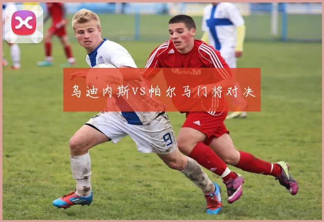 乌迪内斯vs帕尔马门将对决