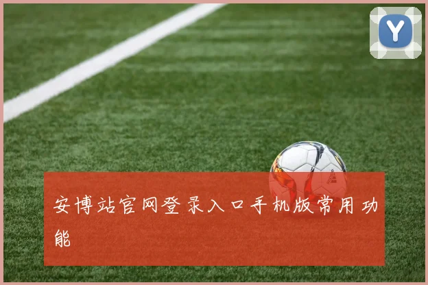 安博站官网登录入口手机版常用功能