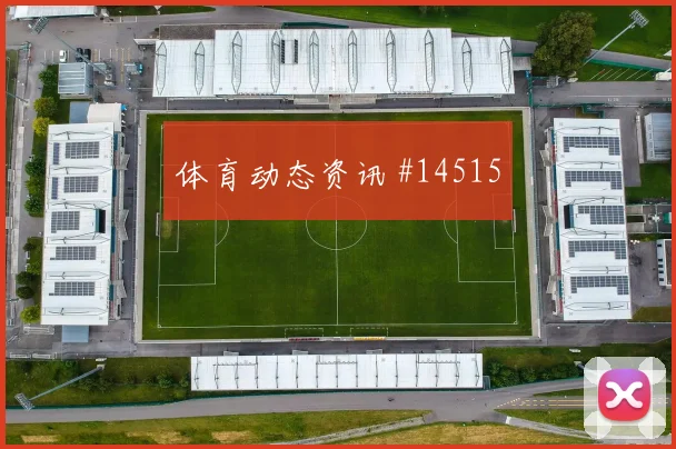 6月17日巴拿马对加纳中卫组合